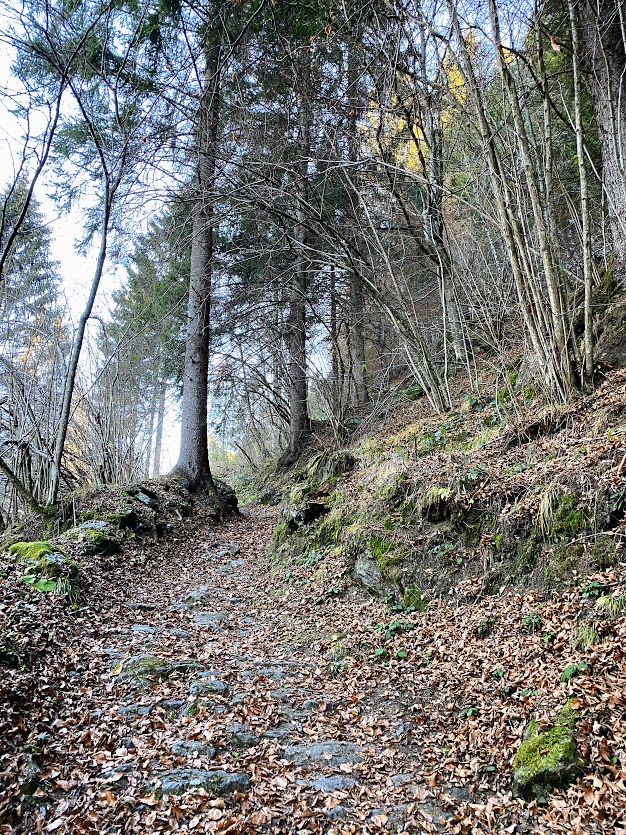 Siror - Malga Civertaghe