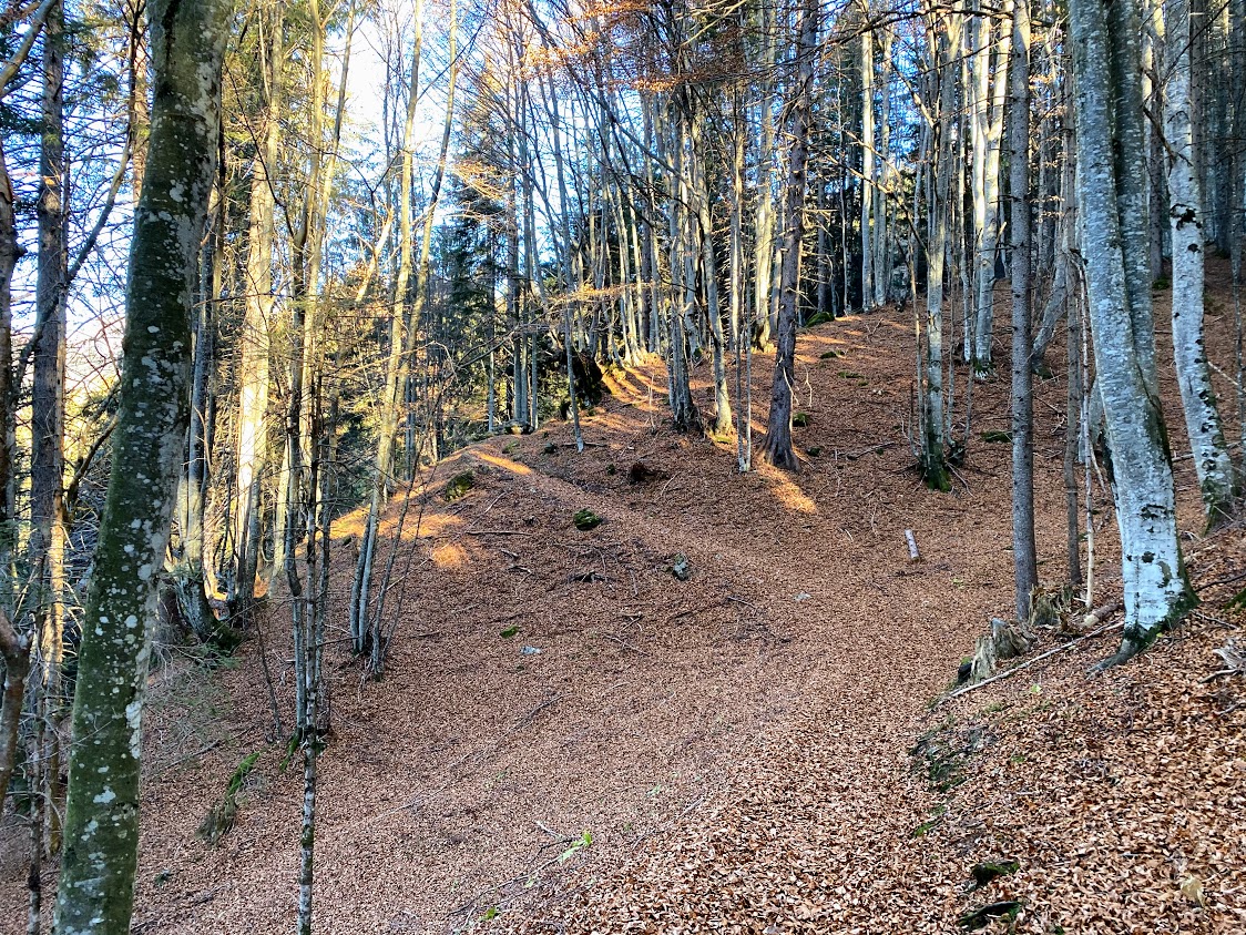Siror - Malga Civertaghe